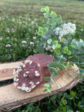 Oatmeal Milk & Honey Soap